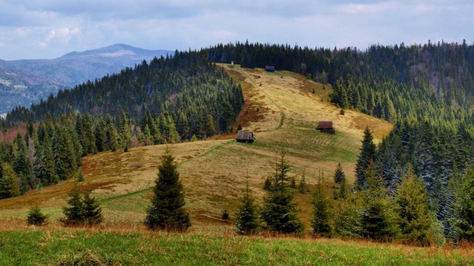 Wasielowka Poręba Wielka Esterno foto