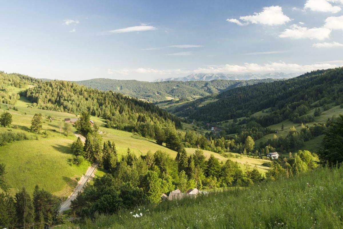 Wasielowka Poręba Wielka Esterno foto